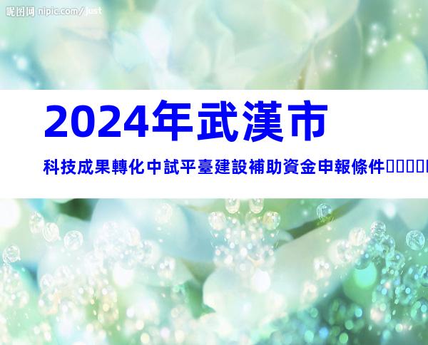 2024年武漢市科技成果轉化中試平臺建設補助資金申報條件、時間及獎補